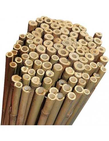 Canne di bambo H.120 d.10-12 R1-P2