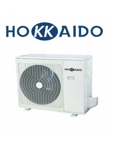 Unità esterna Hokkaido Dual 470 4,10 kW 2x1