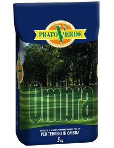 Prato Kg.5 Tipo "OMBRA" per prati ombreggianti M1-P2