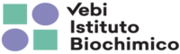 Vebi Istituto