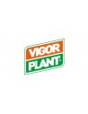 VIGOR PLANT